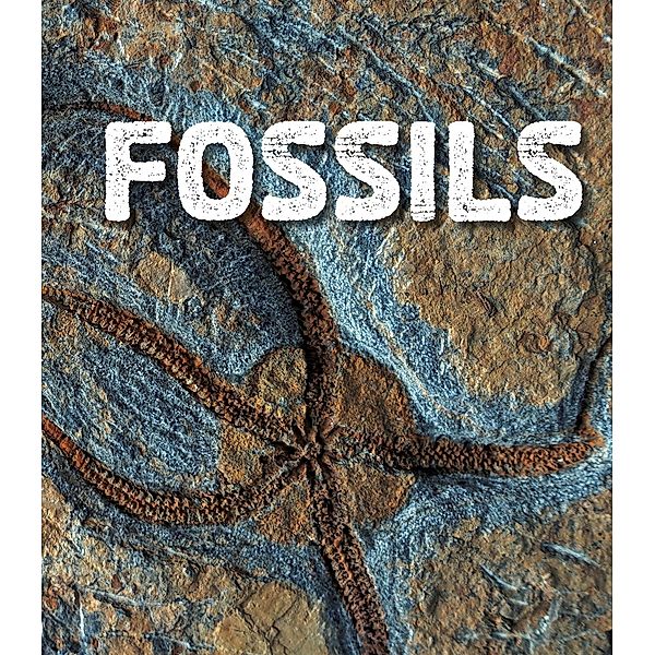 Fossils, Ava Sawyer