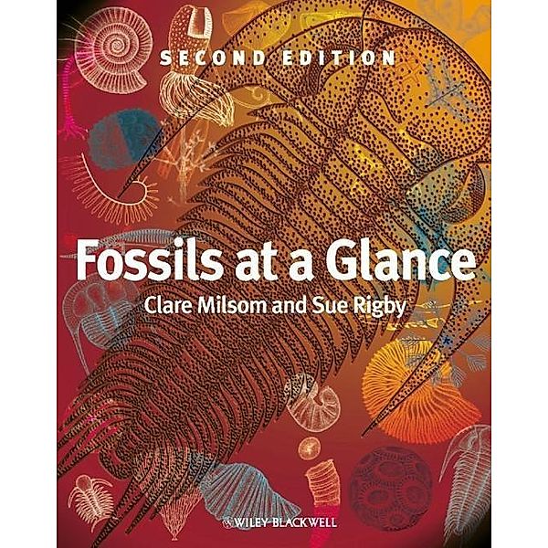 Fossils at a Glance, Clare Milsom, Sue Rigby