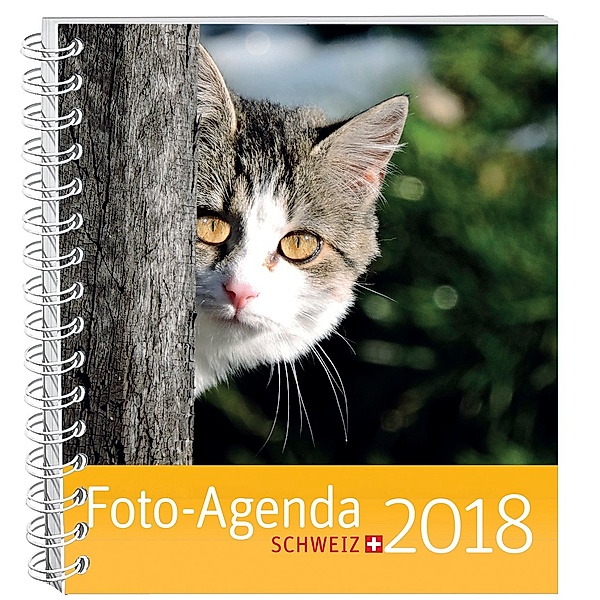 Foto-Agenda Schweiz 2018