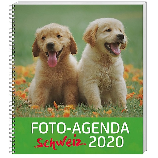 Foto Agenda Schweiz 2020