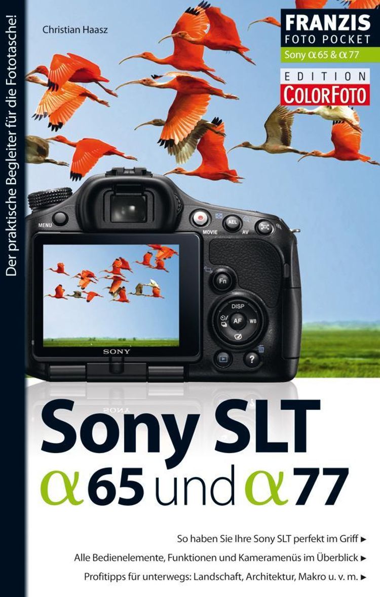 Foto Pocket Sony SLT Alpha 65 und SLT Alpha 77 Foto Pocket eBook v.  Christian Haasz | Weltbild
