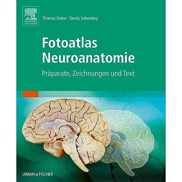 Fotoatlas Neuroanatomie, Thomas Deller, Tamás Sebestény