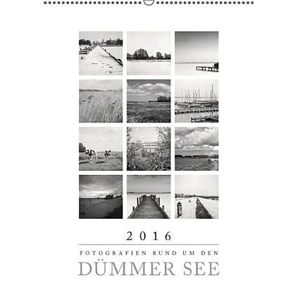 Fotografien rund um den Dümmer See (Wandkalender 2016 DIN A2 hoch), Stefan Aumann