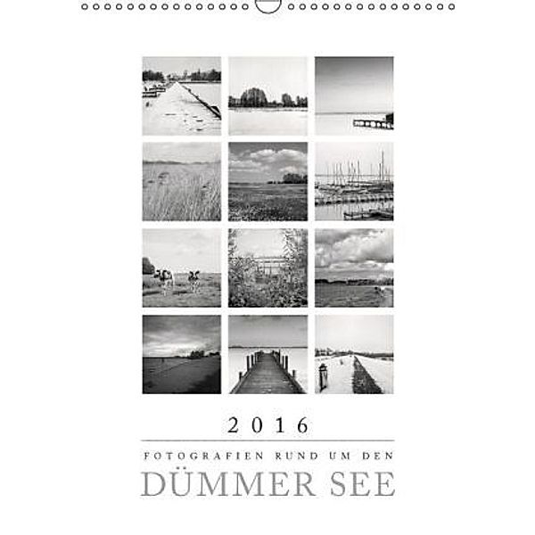 Fotografien rund um den Dümmer See (Wandkalender 2016 DIN A3 hoch), Stefan Aumann