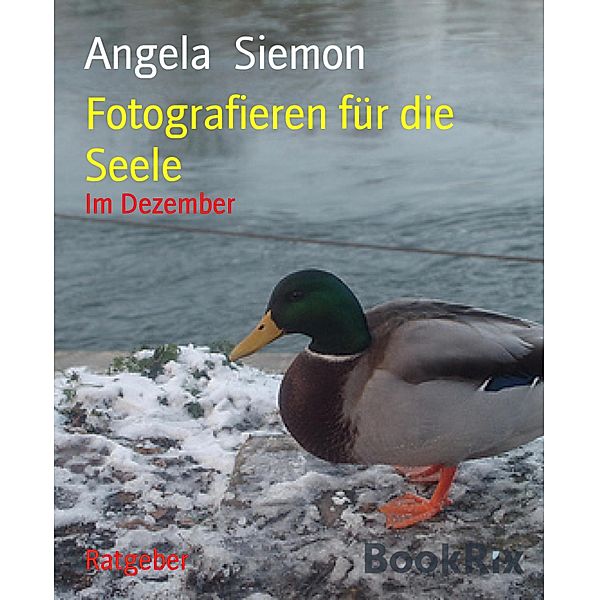 Fotografieren für die Seele, Angela Siemon