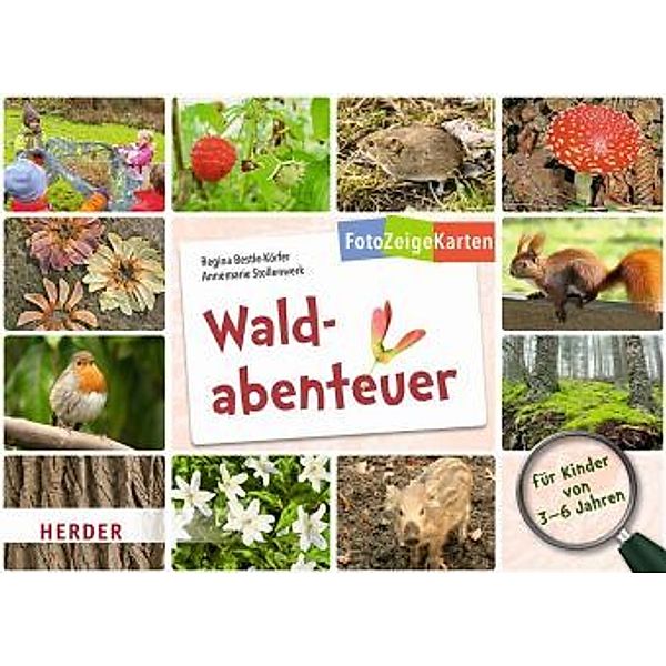 FotoZeigeKarten: Waldabenteuer, Regina Bestle-Körfer, Annemarie Stollenwerk