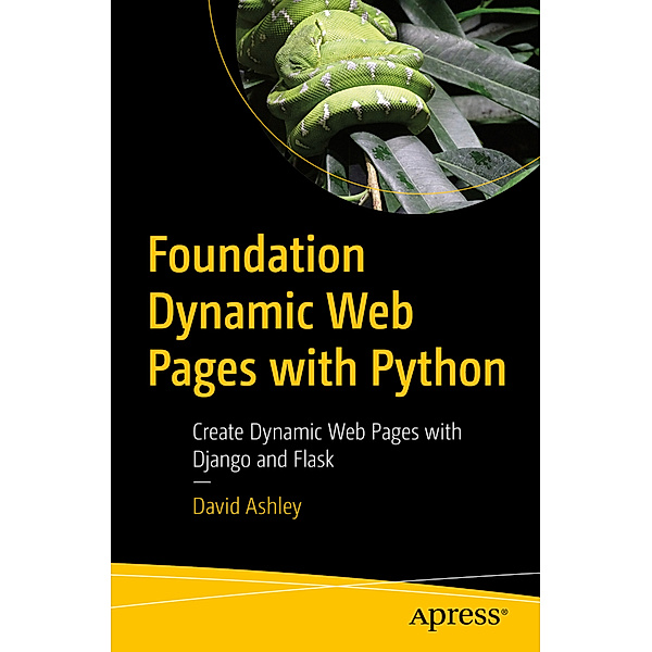 Foundation Dynamic Web Pages with Python, David Ashley