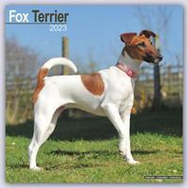 Fox Terrier - Foxterrier 2023 - 16-Monatskalender, Avonside Publishing Ltd