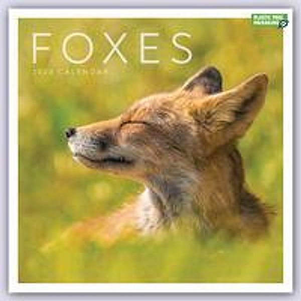 Foxes - Füchse 2023, Carousel Calendar