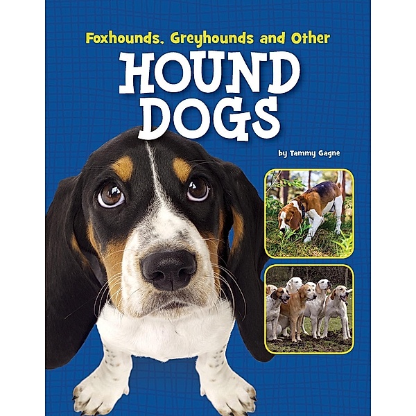 Foxhounds, Greyhounds and Other Hound Dogs, Tammy Gagne