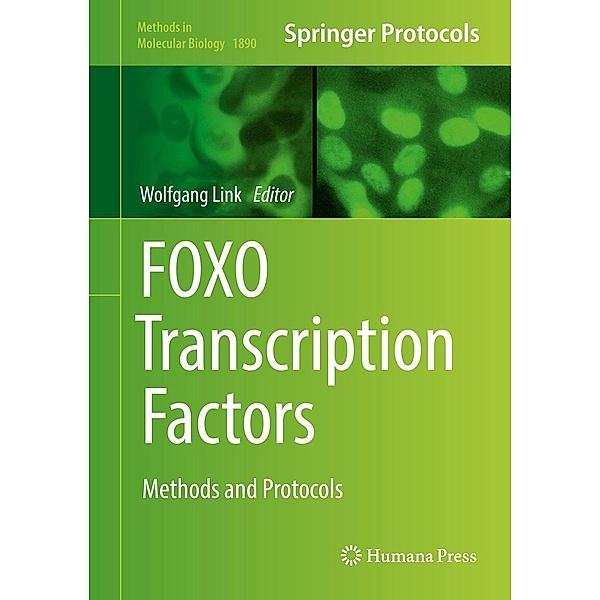 FOXO Transcription Factors / Methods in Molecular Biology Bd.1890