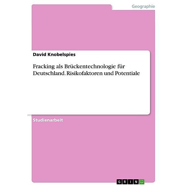 Fracking als Brückentechnologie für Deutschland. Risikofaktoren und Potentiale, David Knobelspies