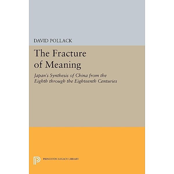 Fracture of Meaning / Princeton Legacy Library, David Pollack