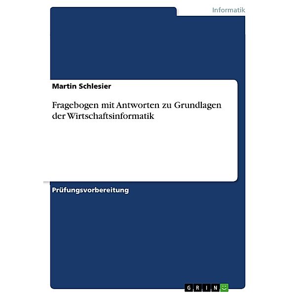 Fragebogen mit Antworten zu Grundlagen der Wirtschaftsinformatik, Martin Schlesier