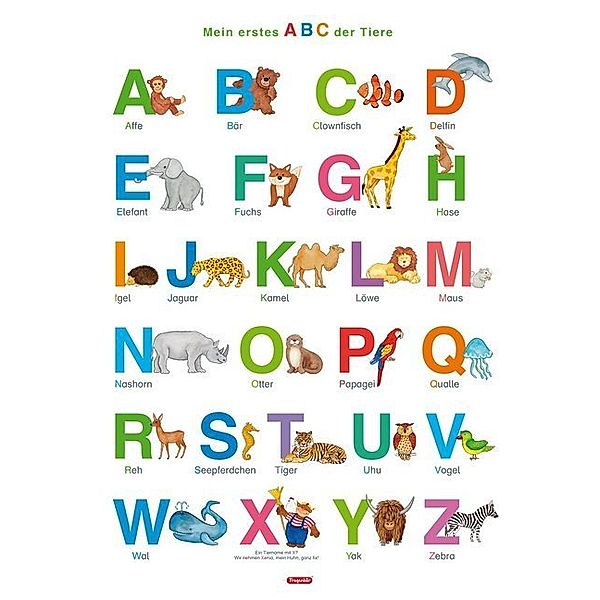 Fragenbär-Lernposter: Mein erstes ABC der Tiere (in der Schulbuch-Druckschrift) M 50 x 70 cm, Bengt Fels