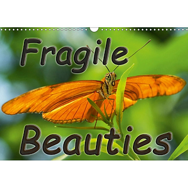 Fragile Beauties - Exotic butterflies (Wall Calendar 2021 DIN A3 Landscape), Anke Grau