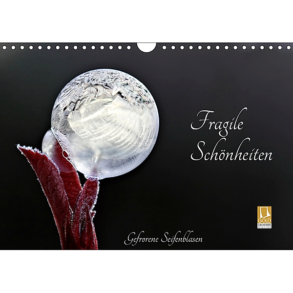 Fragile Sch?nheiten - Gefrorene Seifenblasen (Wandkalender 2019 DIN A4 quer), Sigrid Schiller-Bauer