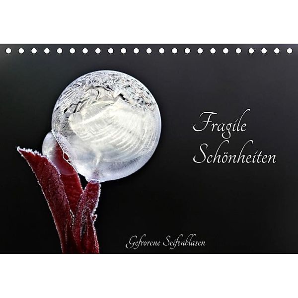 Fragile Schönheiten - Gefrorene Seifenblasen (Tischkalender 2017 DIN A5 quer), Sigrid Schiller-Bauer