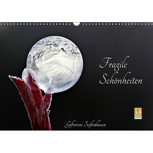 Fragile Schönheiten - Gefrorene Seifenblasen (Wandkalender 2018 DIN A3 quer) Dieser erfolgreiche Kalender wurde dieses J, Sigrid Schiller-Bauer