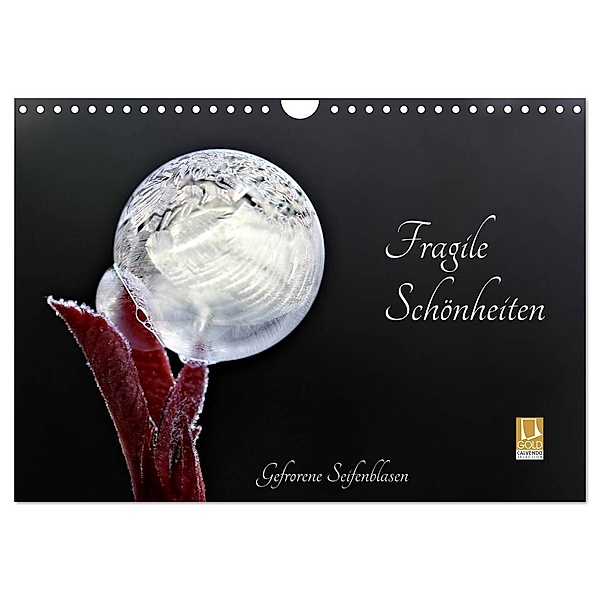 Fragile Schönheiten - Gefrorene Seifenblasen (Wandkalender 2024 DIN A4 quer), CALVENDO Monatskalender, Sigrid Schiller-Bauer