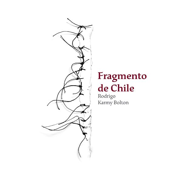 Fragmento de Chile, Rodrigo Karmy Bolton