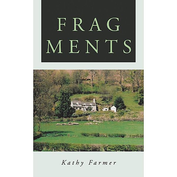 Fragments, Kathy Farmer