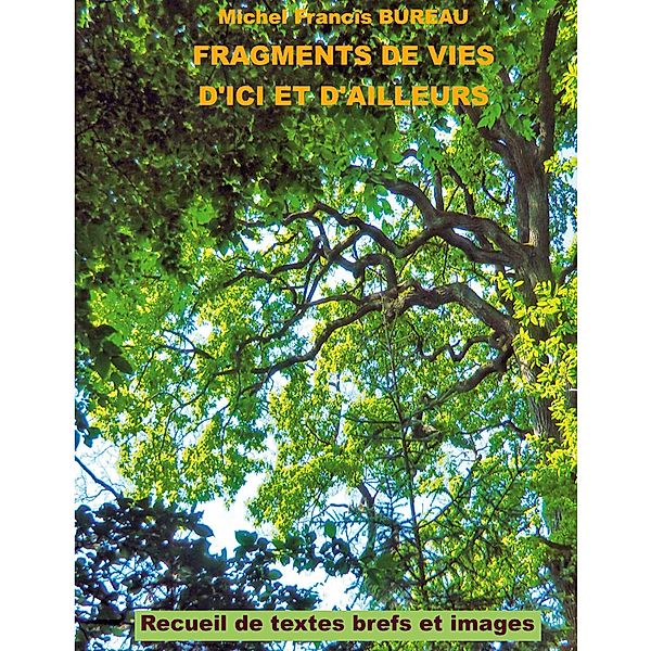 Fragments de vies d'ici et d'ailleurs, Michel Francis Bureau