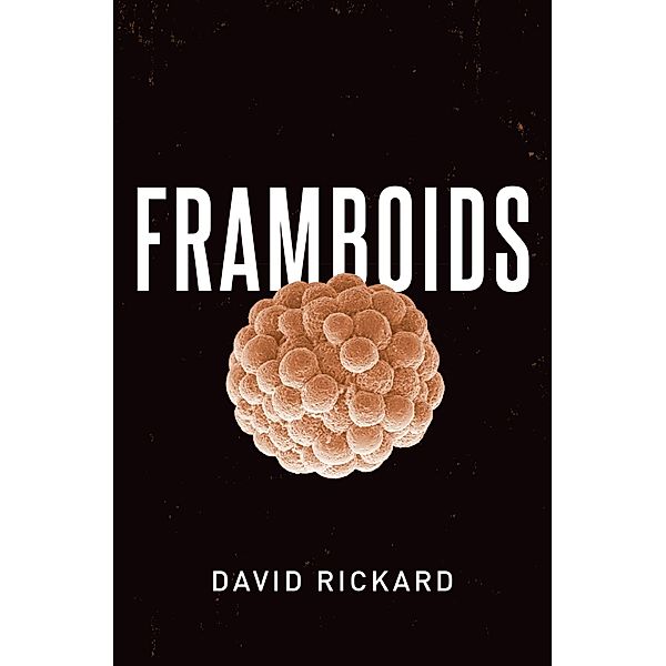 Framboids, David Rickard