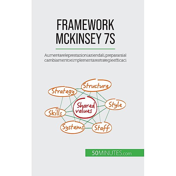 Framework McKinsey 7S, Anastasia Samygin-Cherkaoui