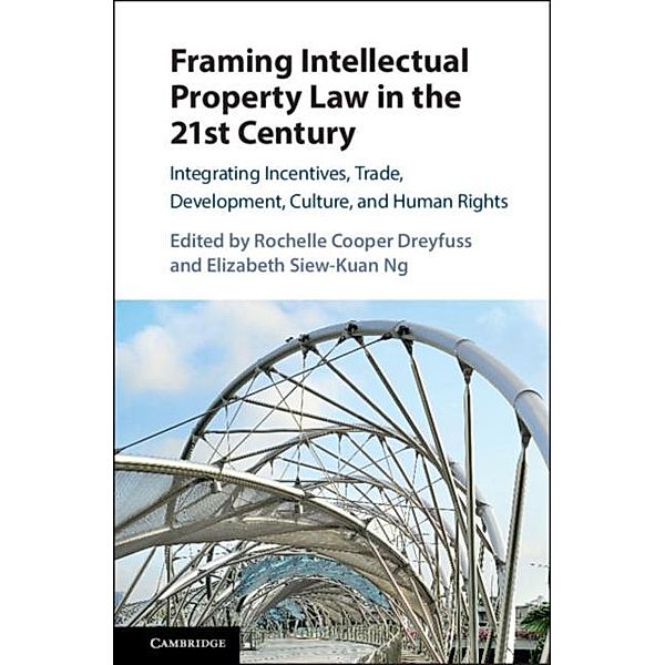 Framing Intellectual Property Law in the 21st Century
