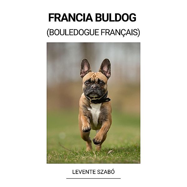 Francia Buldog (Bouledogue Français), Levente Szabó