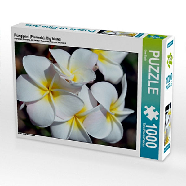 Frangipani (Plumeria), Big Island (Puzzle), Uwe Bade