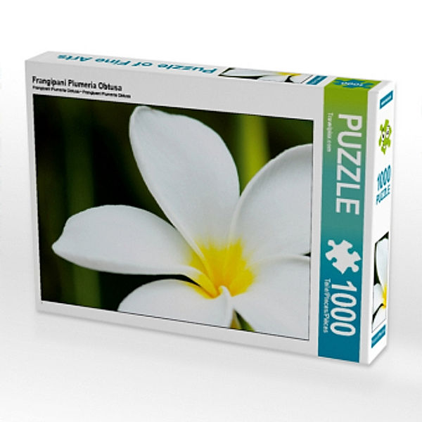 Frangipani Plumeria Obtusa (Puzzle), Travelpixx.com