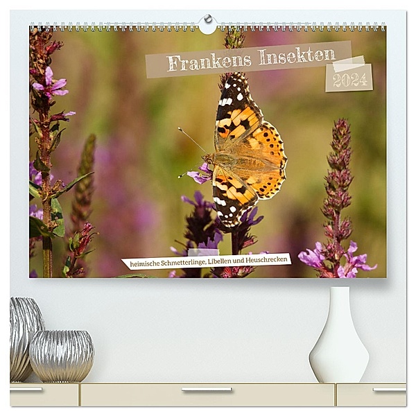 Frankens Insekten (hochwertiger Premium Wandkalender 2024 DIN A2 quer), Kunstdruck in Hochglanz, Susanne Paulus