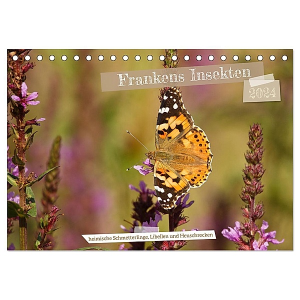 Frankens Insekten (Tischkalender 2024 DIN A5 quer), CALVENDO Monatskalender, Susanne Paulus