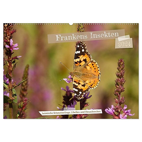 Frankens Insekten (Wandkalender 2024 DIN A2 quer), CALVENDO Monatskalender, Susanne Paulus