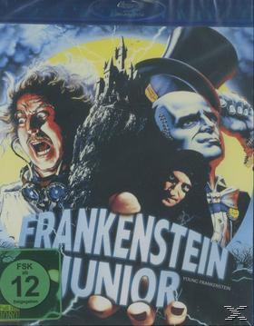 Image of Frankenstein Junior