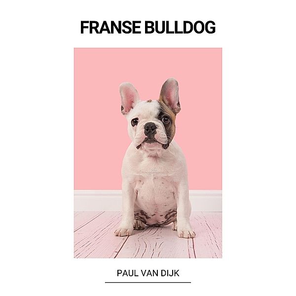 Franse Bulldog, Paul van Dijk