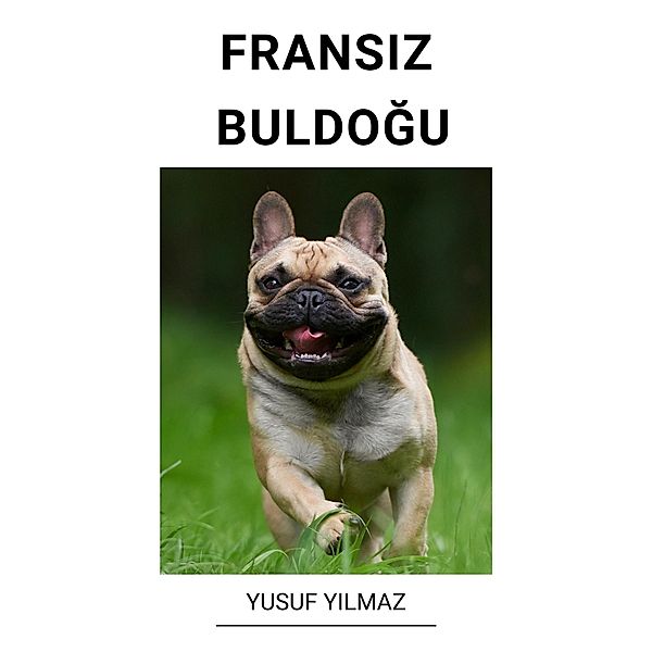Fransiz Buldogu, Yusuf Yilmaz