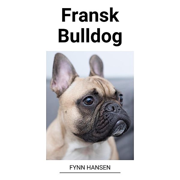 Fransk Bulldog, Fynn Hansen