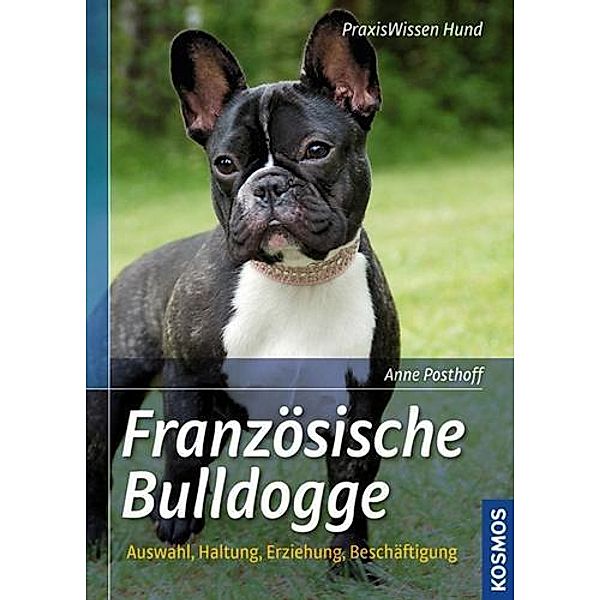 Französische Bulldogge, Anne Posthoff