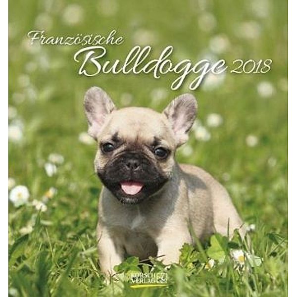 Französische Bulldogge 2018