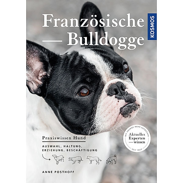 Französische Bulldogge, Anne Posthoff