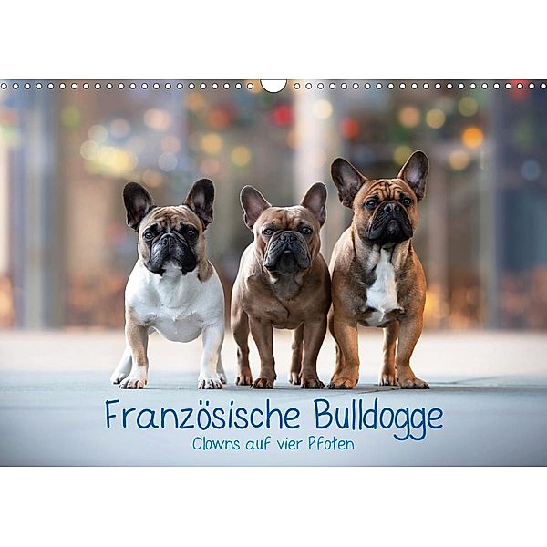 Französische Bulldogge - Clowns auf vier Pfoten (Wandkalender 2021 DIN A3 quer), Sabrina Wobith