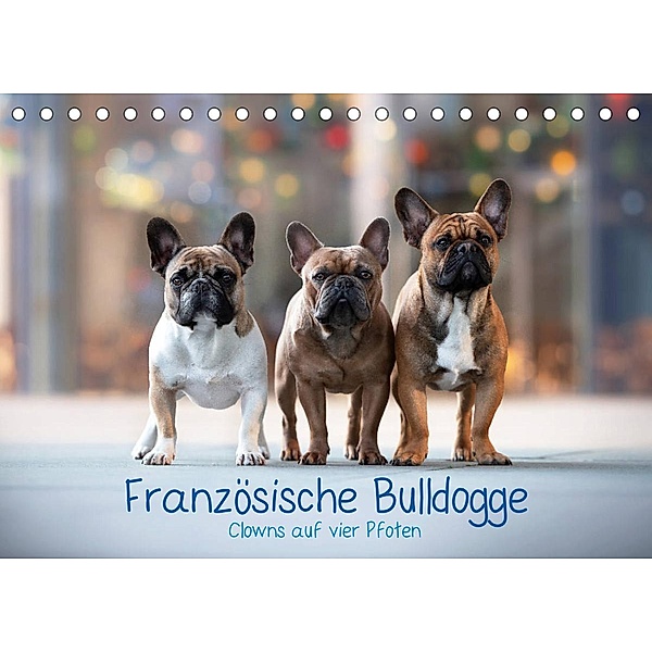 Französische Bulldogge - Clowns auf vier Pfoten (Tischkalender 2023 DIN A5 quer), Sabrina Wobith Photography - FotosVonMaja