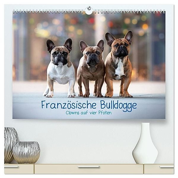 Französische Bulldogge - Clowns auf vier Pfoten (hochwertiger Premium Wandkalender 2024 DIN A2 quer), Kunstdruck in Hochglanz, Sabrina Wobith Photography - FotosVonMaja