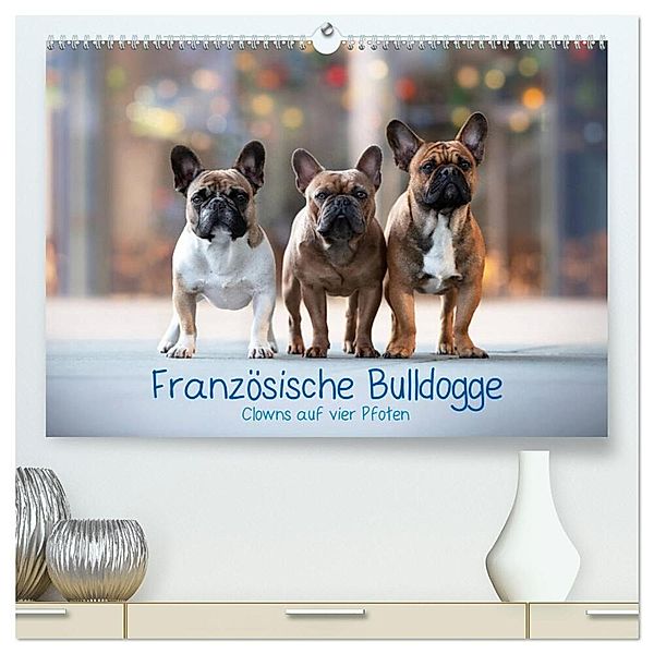 Französische Bulldogge - Clowns auf vier Pfoten (hochwertiger Premium Wandkalender 2025 DIN A2 quer), Kunstdruck in Hochglanz, Calvendo, Sabrina Wobith Photography - FotosVonMaja