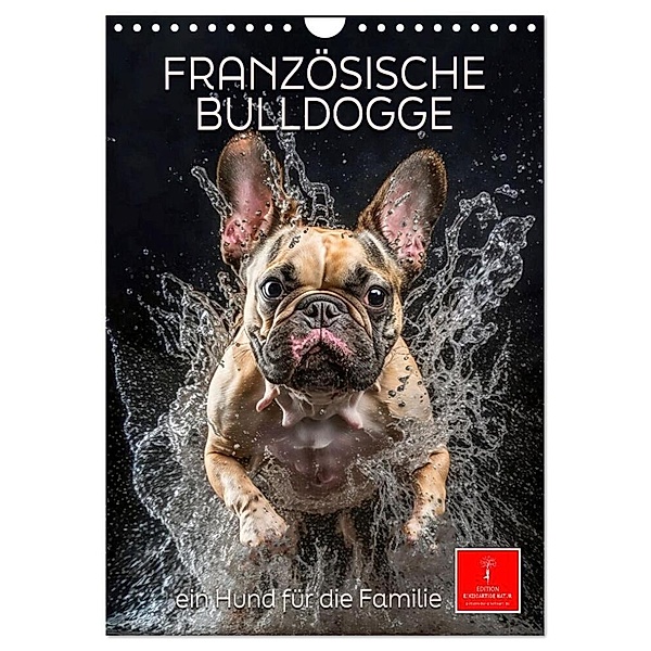 Französische Bulldogge - ein Hund für die Familie (Wandkalender 2024 DIN A4 hoch), CALVENDO Monatskalender, Peter Roder