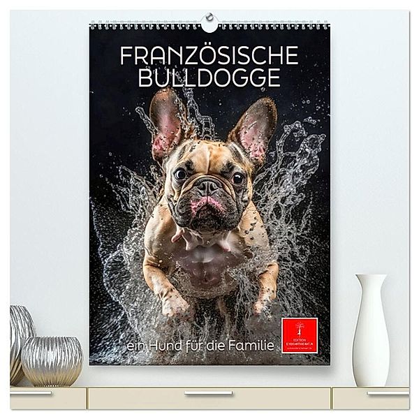 Französische Bulldogge - ein Hund für die Familie (hochwertiger Premium Wandkalender 2025 DIN A2 hoch), Kunstdruck in Hochglanz, Calvendo, Peter Roder