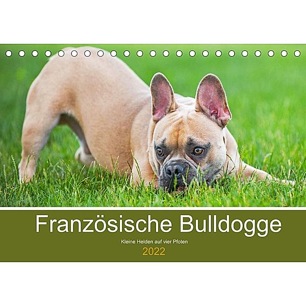 Französische Bulldogge - Kleine Helden auf vier Pfoten (Tischkalender 2022 DIN A5 quer), Sigrid Starick